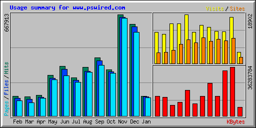 Usage summary for www.pswired.com